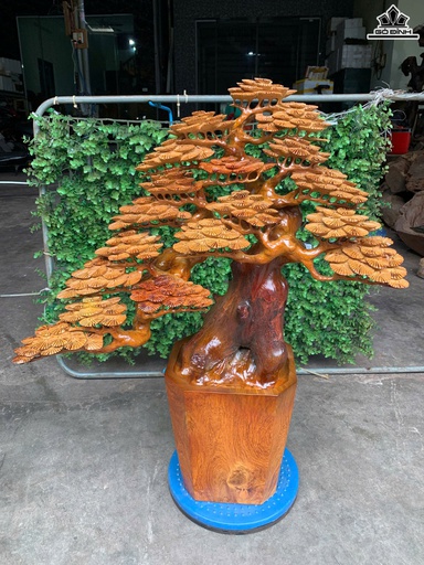 Chậu Tùng Gỗ Hương Cao 68 Ngang 52 Sâu 21 (cm)