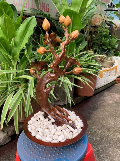 Chậu Hoa Cao 40 Ngang 22 Sâu 22 (cm) - Chậu Gỗ Bách Xanh - Cây Gỗ Hương