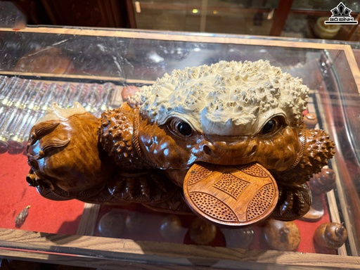 Tượng Cóc Trấn Chum Tiền Gỗ Nu Hương Cao 25 Ngang 50 Sâu 30 (cm)