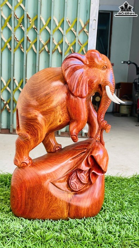 Tượng Voi Gỗ Hương Cao 44 Ngang 24 Sâu 13 (cm)