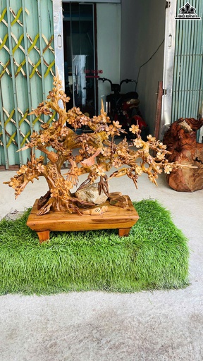 Chậu Mai Gỗ Bách Xanh Cao 61 Ngang 73 Sâu 27 (cm)