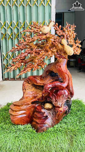 Gốc Hoa Mai Gỗ Hương Cao 60 Ngang 37 Sâu 28 (cm)