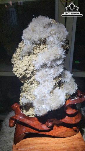 Những Bông Hoa Ưu Đàm Đá Trầm Tích Cao Cả Đế 40 Ngang 22 (cm) Nặng 8kg