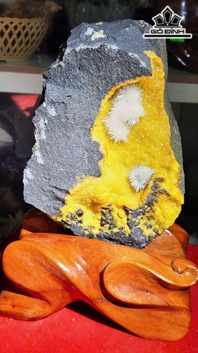 Những Bông Hoa Ưu Đàm Đá Trầm Tích Cao Cả Đế 27 Ngang 16 (cm) Nặng 3,6kg