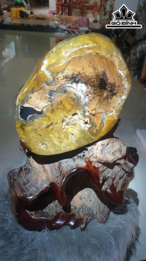 Nguyên Thân Rễ Cây Gỗ Hóa Ngọc Cao Cả Đế 50 Ngang 30 (cm) - 17,2kg