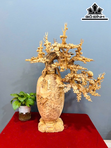 Bình Mai Phú Quý Gỗ Nu Ngọc Am Cao 76 Ngang 56 Sâu 32 (cm)