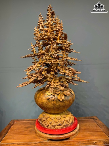 Bình Hoa Mai Phú Quý Gỗ Nu Hương Cao 139 Ngang 75 Sâu 73 (cm) - Đường Kính Bình 73 (cm)