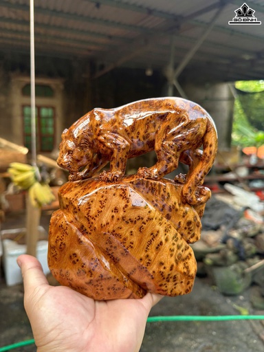 Tượng Báo Săn Mồi Gỗ Nu Ngọc Am Cao 16 Ngang 15 Sâu 9 (cm)