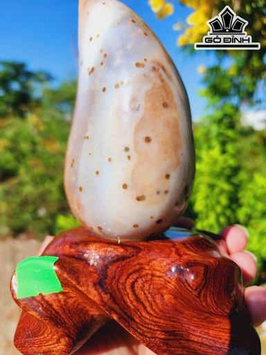 Mã Não Tây Nguyên Cao 20 Ngang 9 (cm) - 1kg