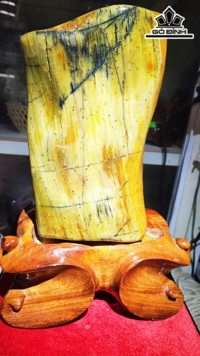 Tác Phẩm Gỗ Hóa Thạch Cao 33 Ngang 16 (cm) - 6,3kg