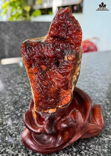 Nhũ Mã Não Cao Cả Đế 19 Ngang 13 (cm) - 1,2kg