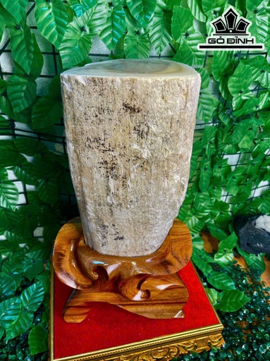 Tác Phẩm Cây Gió Bầu Hóa Thạch Cao 39 Ngang 14 (cm) 8,3kg