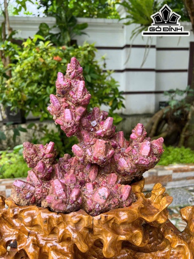 Tác Phẩm Thuận Buồm Xuôi Gió Đá Ruby Lục Yên Cao 32 Nặng 3,3kg