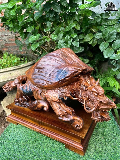 Tượng Long Quy Gỗ Bách Xanh Cao 26 Ngang 55 Sâu 30 (cm)