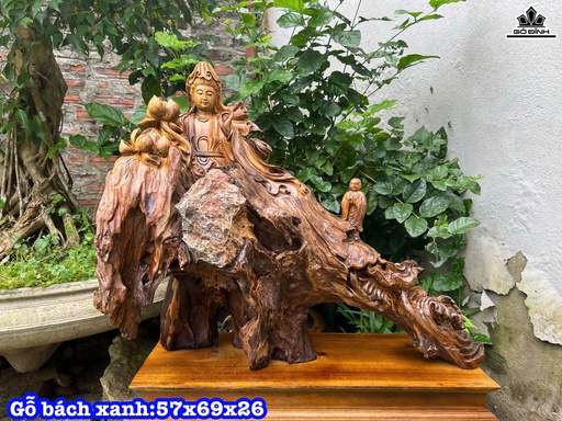 Tượng Nhất Tâm Bái Phật Gỗ Bách Xanh Cao 57 Ngang 69 Sâu 26 (cm)