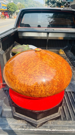 Chum Phú Quý Gỗ Nu Ngọc Am Cao 34 Đường Kính 58 (cm)