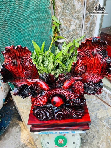 Tượng Cá Xiêm Gỗ Trắc Cao 50 Ngang 56 Sâu 25 (cm)