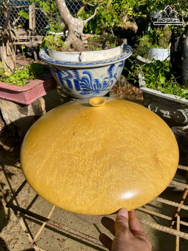 Bình Phú Quý Gỗ Nu Bằng Lăng Cao 18,5 Đường Kính Bình 42 (cm)