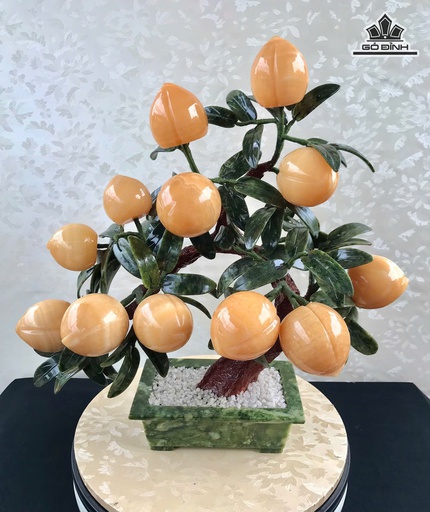 Cây Đào Hoàng Kim 12 Quả Hoàng Ngọc Pakistan Onyx - 8,2kg Cao 47 Ngang 47 Sâu 12 (cm)
