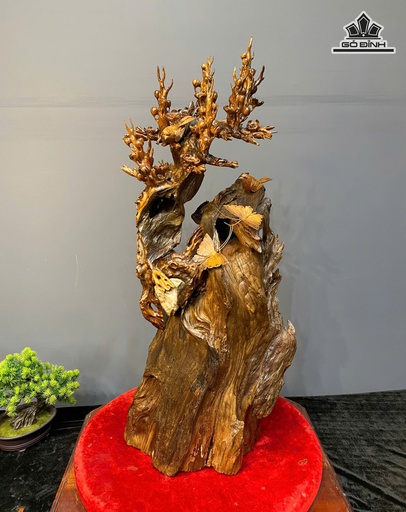 Bình Hoa Gỗ Bách Xanh Cao 79 Ngang 35 Sâu 33 (cm)