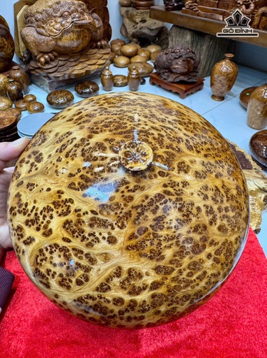 Chum Phú Quý Gỗ Nu Ngọc Am Cao 13,5 Đường Kính 22 (cm)