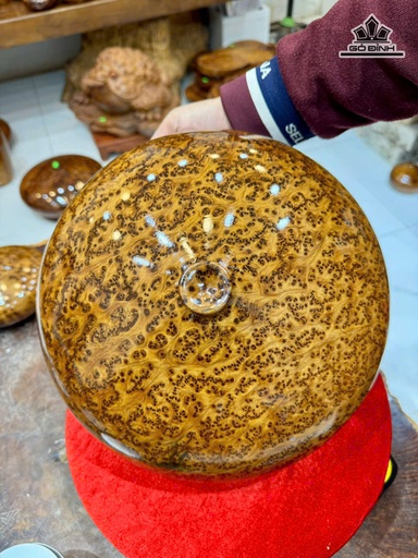 Chum Phú Quý Gỗ Nu Ngọc Am Cao 16 Đường Kính 30 (cm)