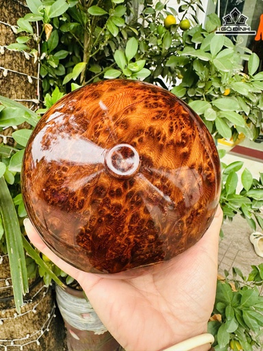 Chum Phú Quý Gỗ Nu Ngọc Am Cao 8 Đường Kính 15 (cm)