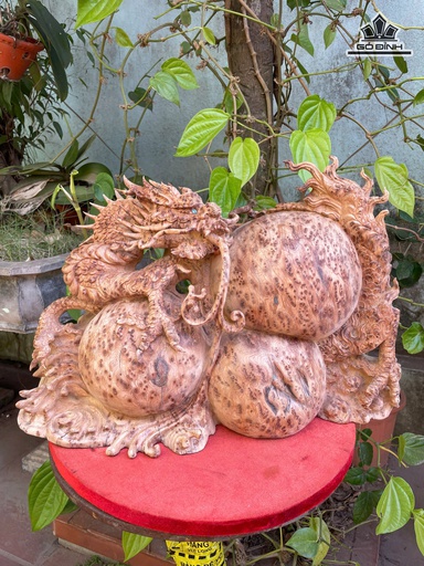 Tượng Rồng ( Nhất Long) Gỗ Nu Ngọc Am Cao 30 Ngang 48 Sâu 23 (cm)
