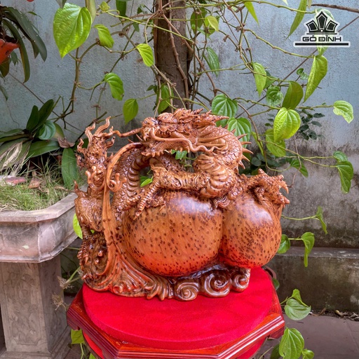 Tượng Rồng ( Nhất Long) Gỗ Nu Ngọc Am Cao 36 Ngang 45 Sâu 16 (cm)