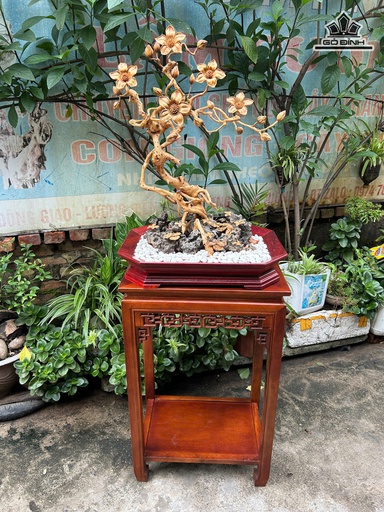 Chậu Hoa Gỗ Pơ Mu Cao 150 Ngang 50 Sâu 38 (cm) - Thân Cây Rễ Cà Chít - Chậu Gỗ Hương - Không Đôn Cao 70 Ngang 50 Sâu 38 (cm)