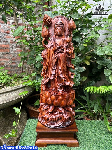 Tượng Phật Bà Quan Âm Gỗ Sưa Cao 55 Ngang 20 Sâu 14 (cm)