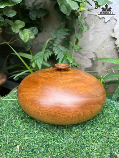 Chum Phú Quý Gỗ Bách Xanh Cao 11 Đường Kính 23 (cm)