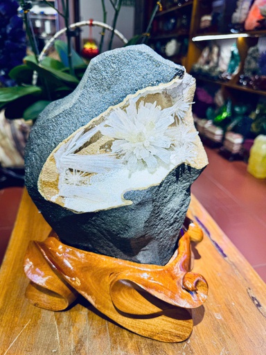 Tác Phẩm Hoa Ưu Đàm Cao Cả Đế 30 Ngang 18 (cm) - 7,5kg