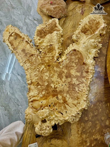 Khay Trà Gỗ Nu Nghiến Kích Thước 80x50x6 (cm)