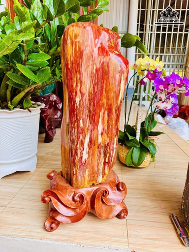 Tác Phẩm Gỗ Hóa Thạch Cao 70 Ngang 25 (cm) 42kg Cả Đế