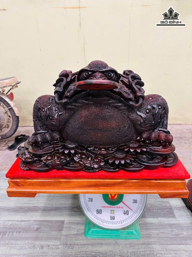 Tượng Thiềm Thừ Gỗ Trắc Cao 33 Ngang 52 Sâu 20 (cm) - Cả Kỷ Cao 42 (cm)