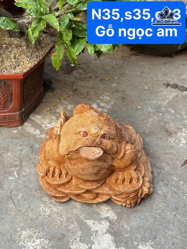 Tượng Cóc Ngậm Tiền Gỗ Ngọc Am Cao 23 Ngang 35 Sâu 35 (cm)