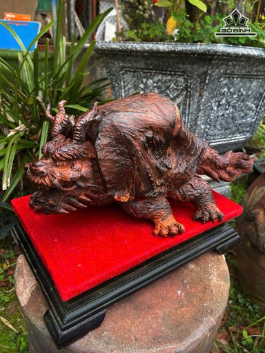 Tượng Long Quy Gỗ Nu Trắc Cao 18 Ngang 39 Sâu 23 (cm)