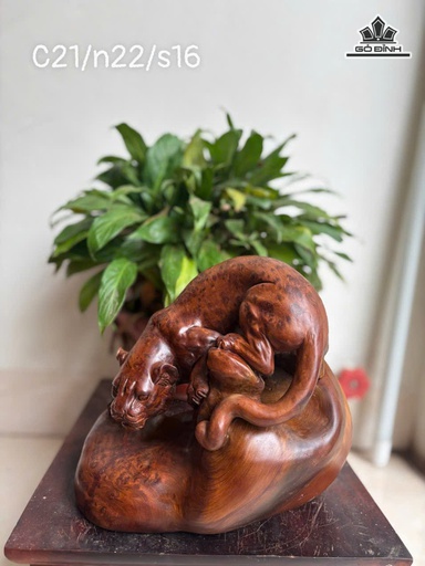 Tượng Báo Săn Mồi Gỗ Nu Ngọc Am Cao 21 Ngang 22 Sâu 16 (cm)