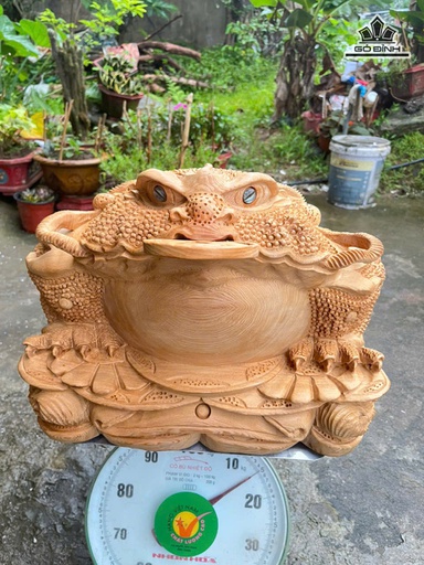 Tượng Thiềm Thừ Gỗ Ngọc Am Cao 24 Ngang 42 Sâu 30 (cm)