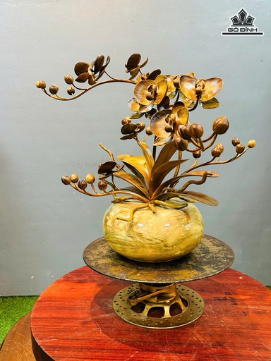 Chậu Lan Hồ Điệp Gỗ Nu Ngọc Nghiến Cao 43 Ngang 63 ( Bình Đườnng Kính 22 - Cao 12 )