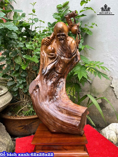 Tượng Ông Thọ Gỗ Bách Xanh Cao 62 Ngang 28 Sâu 22 (cm)